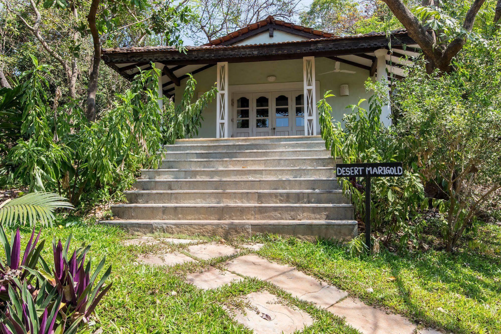 Wildflower Villas - All Villa Hotel, Family Run Candolim Dış mekan fotoğraf